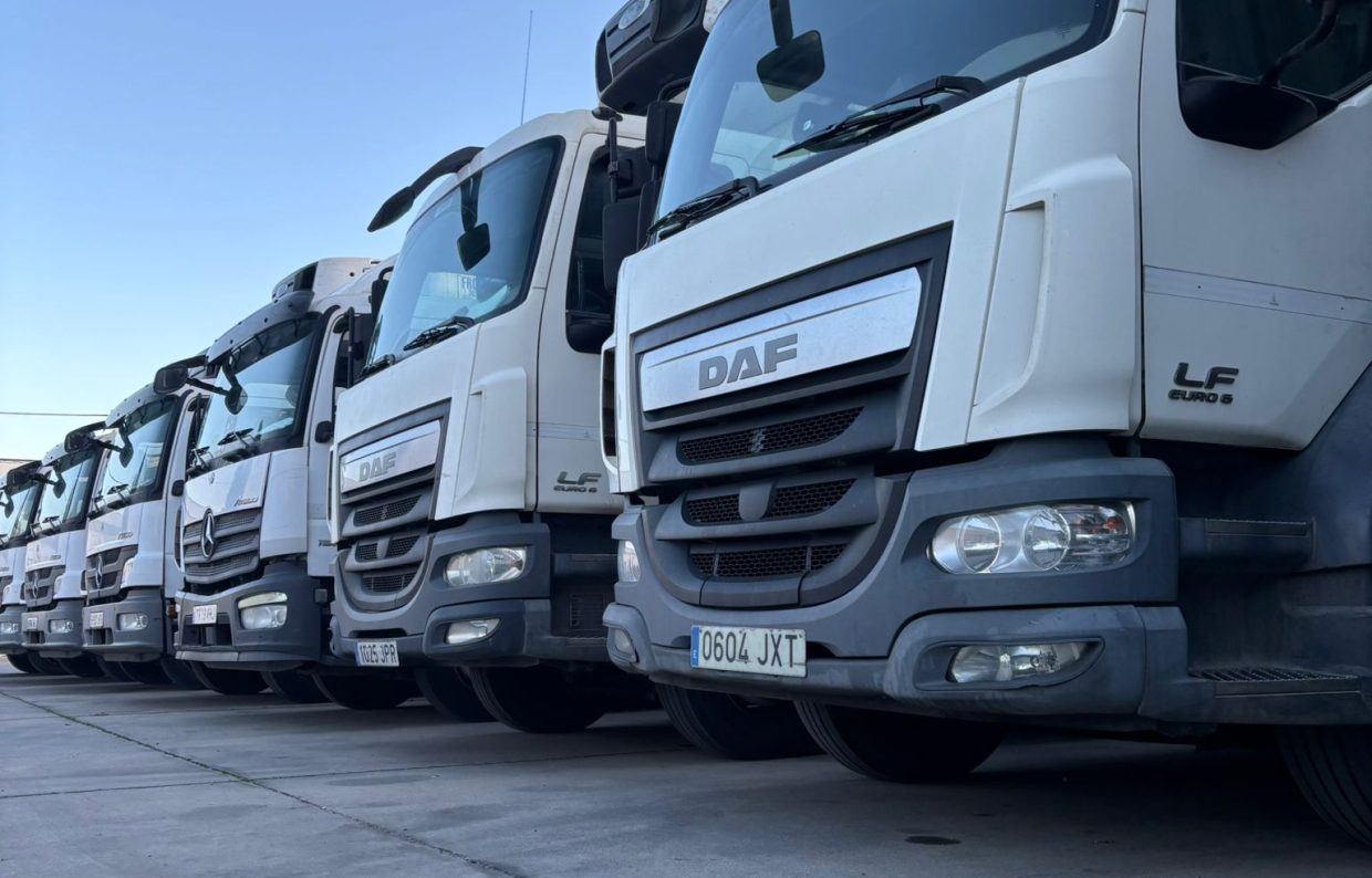 WhatsApp Image 2025-12-18 at 11.40.08